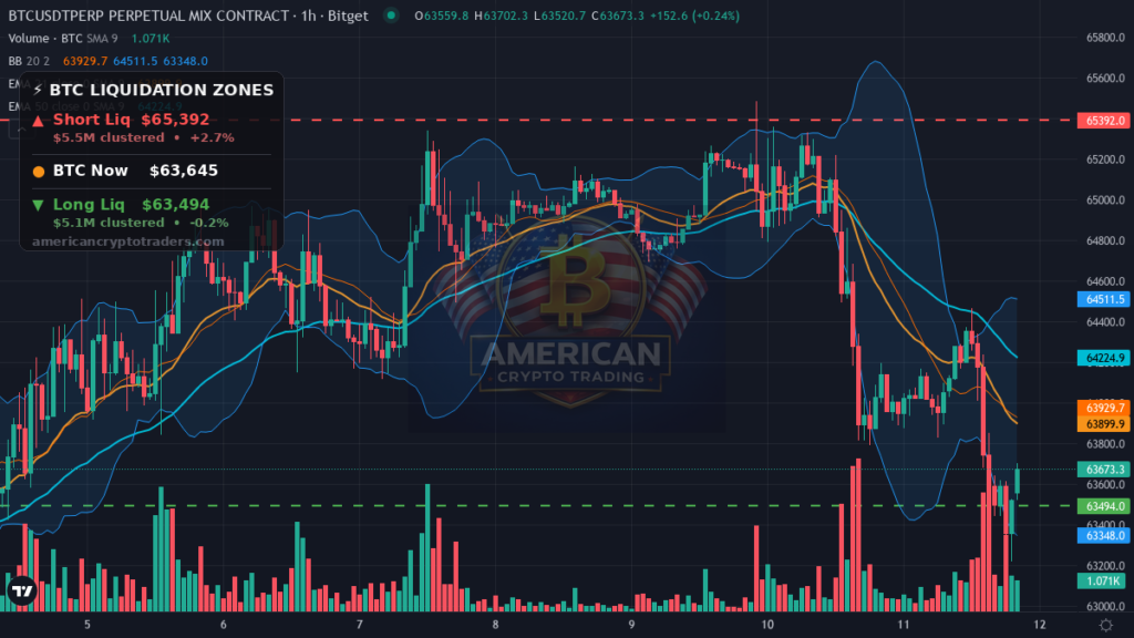 Bitcoin Market Recap — August 11, 2026: Gold Steals the Show — BTC chart with liquidation levels (American Crypto Traders)